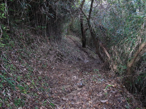 20181025hike (278)